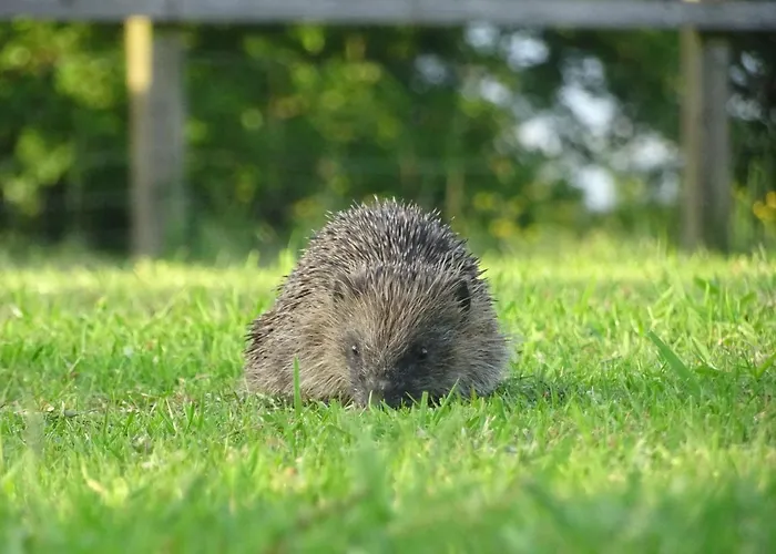 Hébergement de vacances Garden House At The Red House Estate York