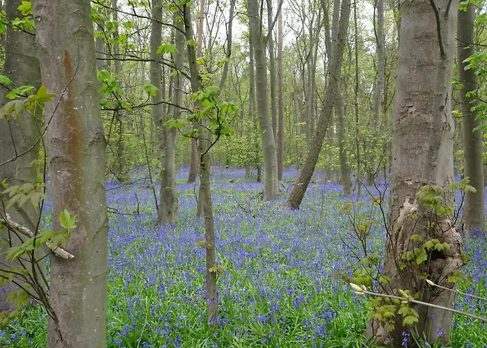 Garden House At The Red House Estate York