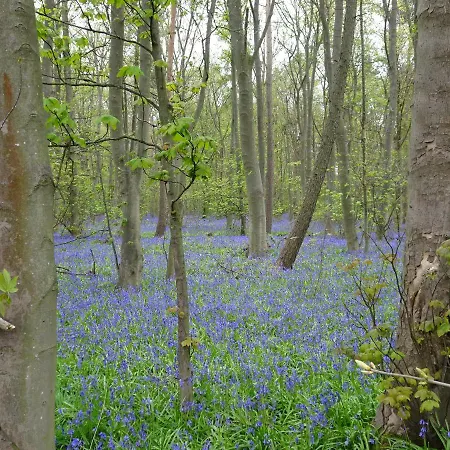Garden House At The Red House Estate York